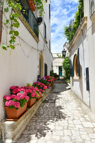 Fototapeta Naklejka Na Ścianę i Meble -  A narrow street among the old houses in the historic center of Otranto, a town in Puglia in Italy.