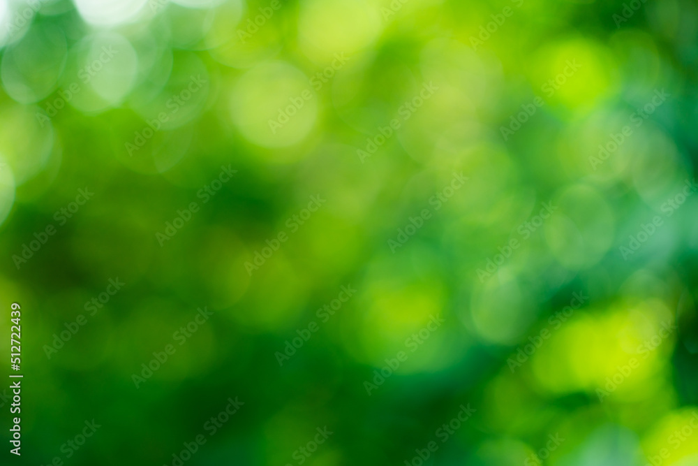 abstract green bokeh background.