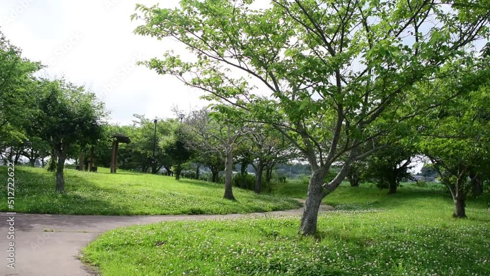 新緑とシロツメクサとときどき吹く風と・・・