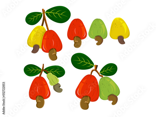 Fototapeta Naklejka Na Ścianę i Meble -  Cashew and leaves  element design cashew nut sign. isolated symbol illustration