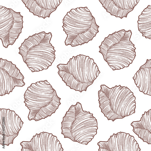 Hand drawn vintage clam shell conch line art seamless pattern