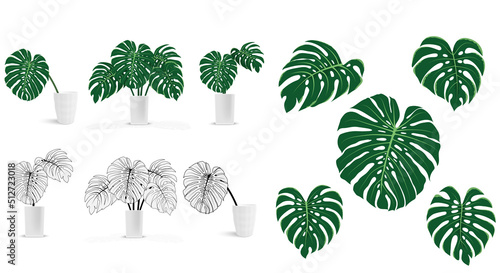 monstera leaf in white vase