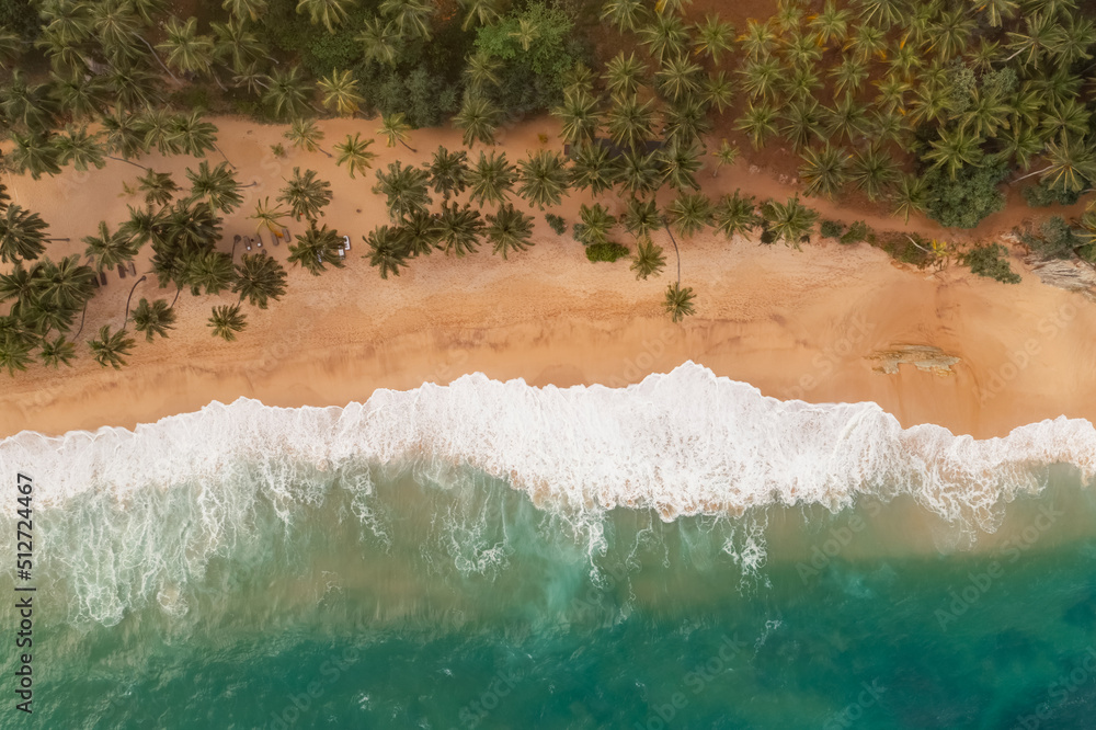 Beautiful sandy beach with palm trees and sea surf with waves. Silent Beach, Sri Lanka. High quality photo