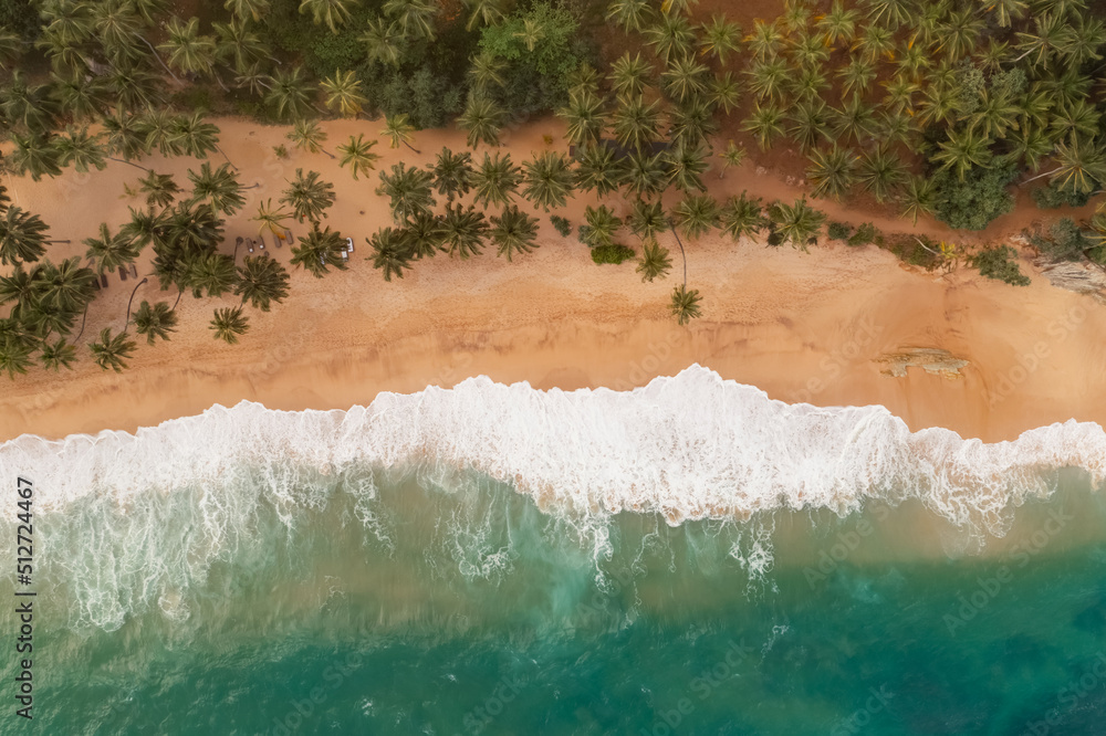 Fototapeta premium Beautiful sandy beach with palm trees and sea surf with waves. Silent Beach, Sri Lanka. High quality photo
