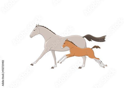 Running free mare with foal