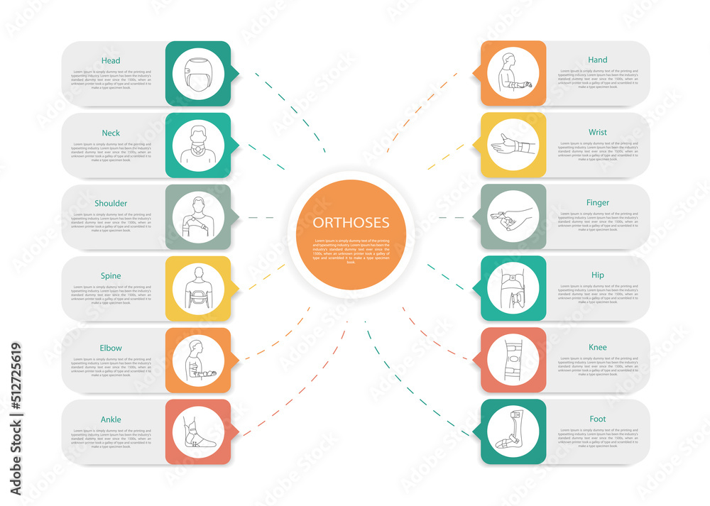 Infographic orthoses, linear icons in vector Infographic orthoses, linear icons in vector