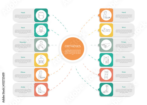 Infographic orthoses, linear icons in vector