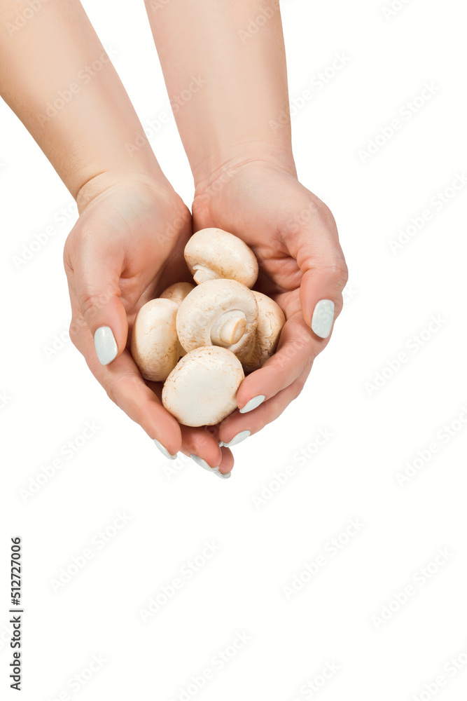 Mushrooms champignons in women's hands on a white background Mushrooms champignons in women's hands on a white background
