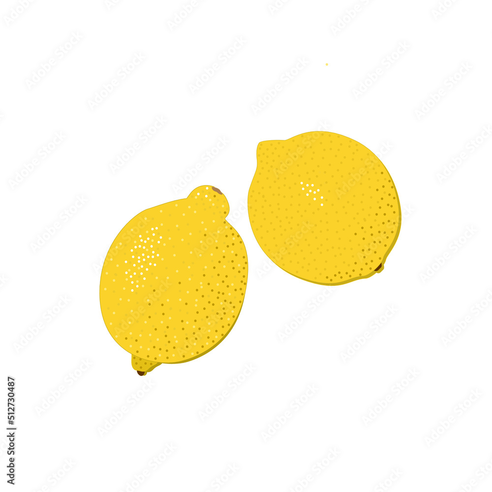 lemon on white background illustration vector lemon on white background illustration vector