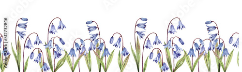  Floral seamless horizontal border with hand drawn watercolor bluebells snowdrops isolated on white background. Delicate flowers background. photo