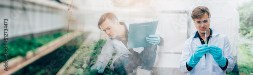 Scientist examining a plants in greenhouse farm. scientists holding equipment for research plant in organic farm, banner cover design. photo