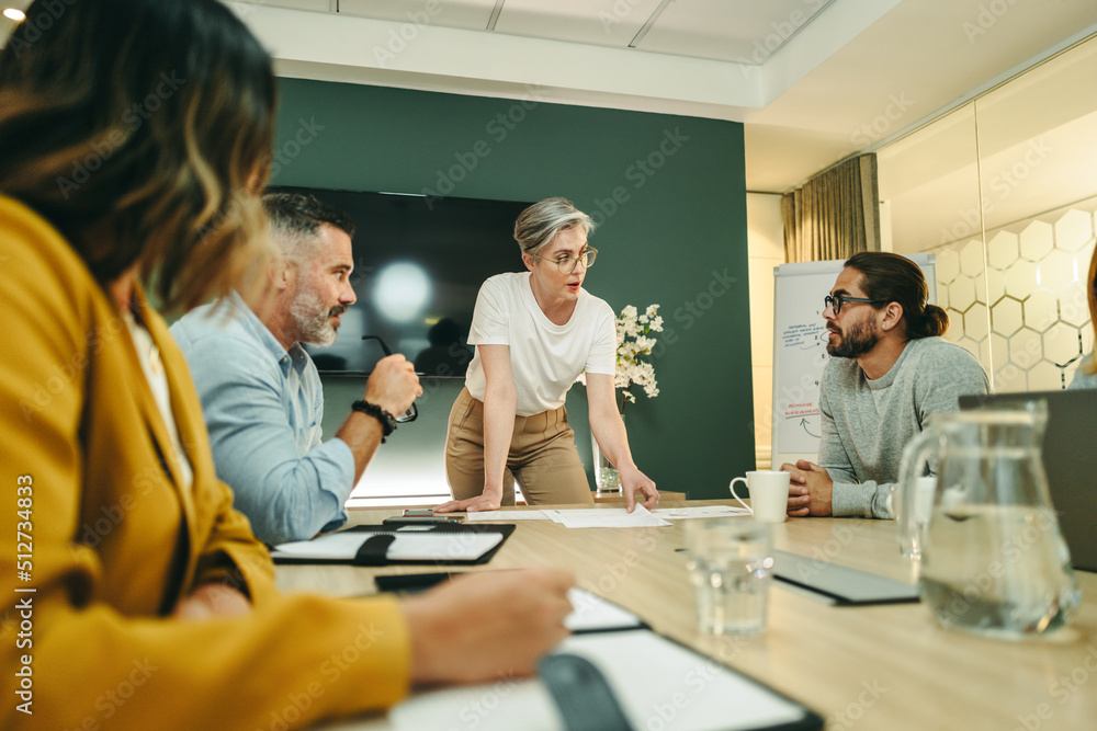 Mature businesswoman leading a meeting in a boardroom