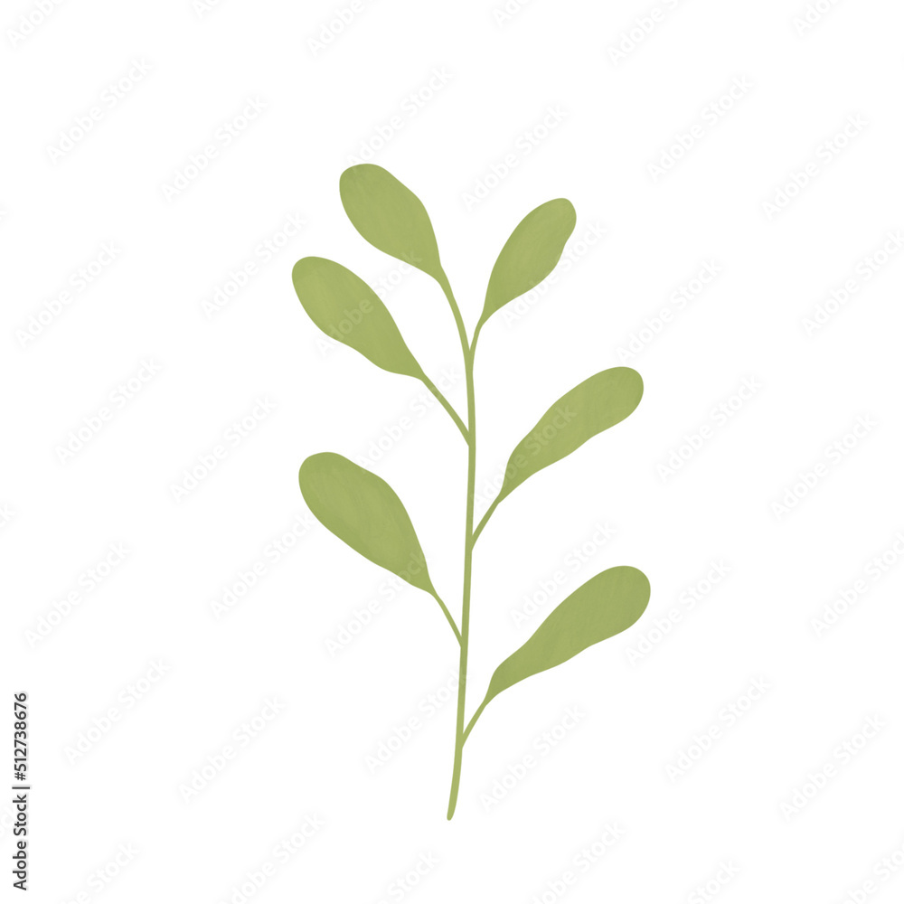 plant isolated on white background plant isolated on white background