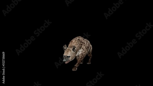 Hyena Walk Slow Front View animation.Full HD 1920×1080.6 Second Long.Transparent Alpha video.LOOP. photo