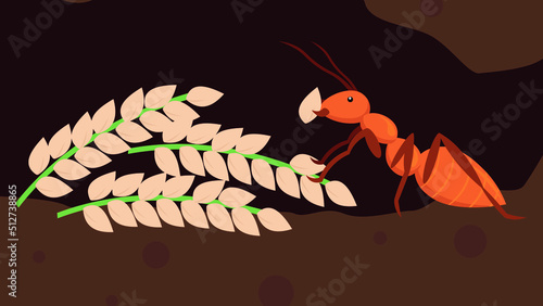 White termite ant in an anthill eats grain from a spikelet