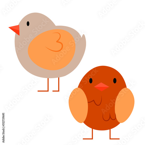 Two cute brown chicks