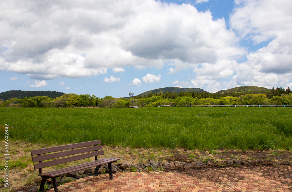 A wooden bench, green field and blue sky full of clouds. A wooden bench, green field and blue sky full of clouds.
