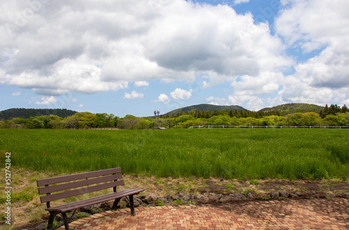 A wooden bench, green field and blue sky full of clouds.