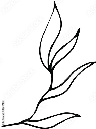 graceful branch on a white background