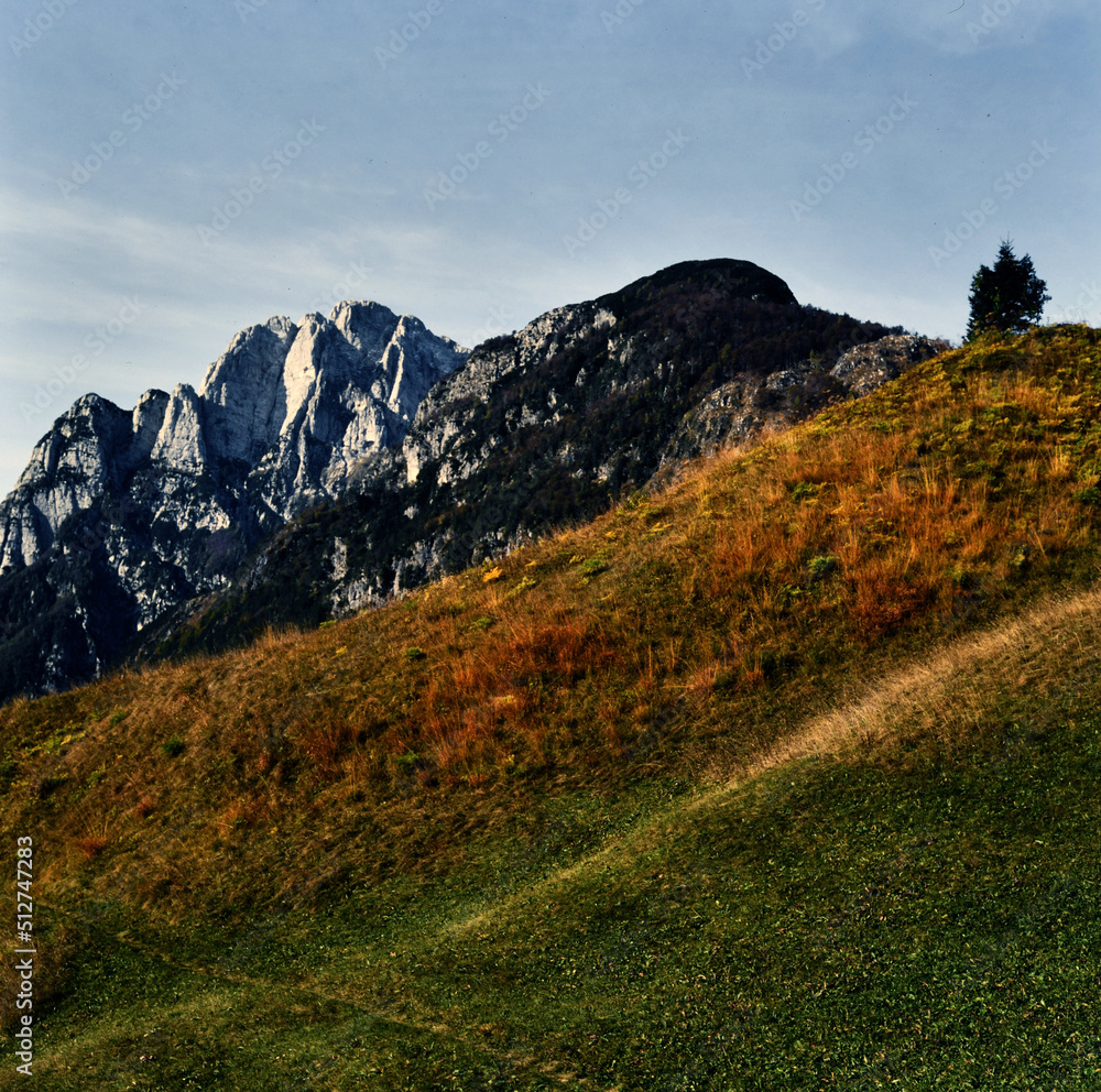 Fototapeta premium Herbst