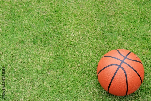 芝生とバスケットボール2