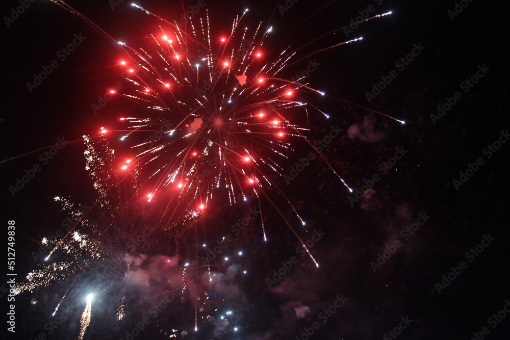 fireworks in the night sky fireworks in the night sky