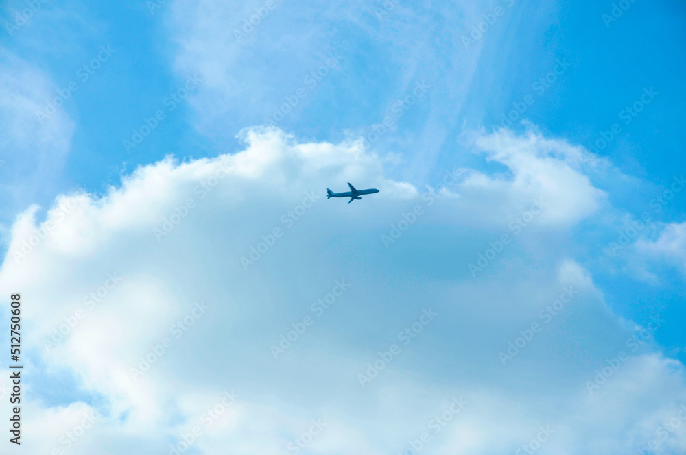 Fototapeta premium airplane flying in the sky