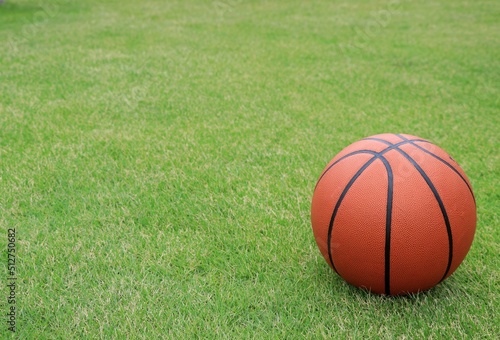 芝生とバスケットボール5
