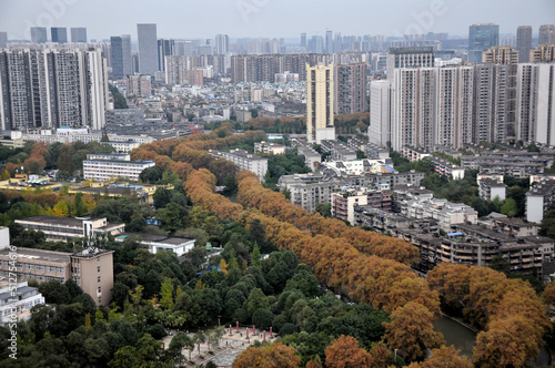 view of downtown city in autumn