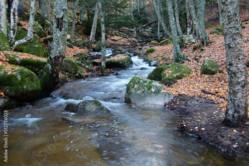 Puerto de Canencia en otoño (Madrid)
