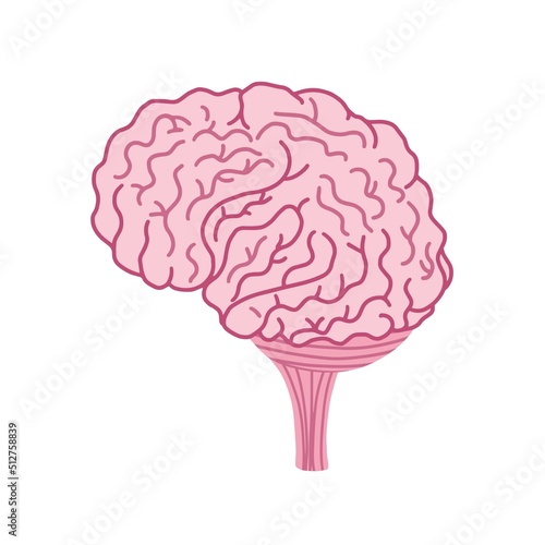 Brain isolated element in cartoon style. Human internal organ for medical prints. Vector illustration