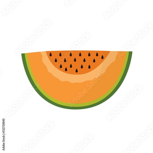 Slice of cantaloupe melon isolated element. Summer fruit healthy food print for farm market menu and recipes. Vector illustration