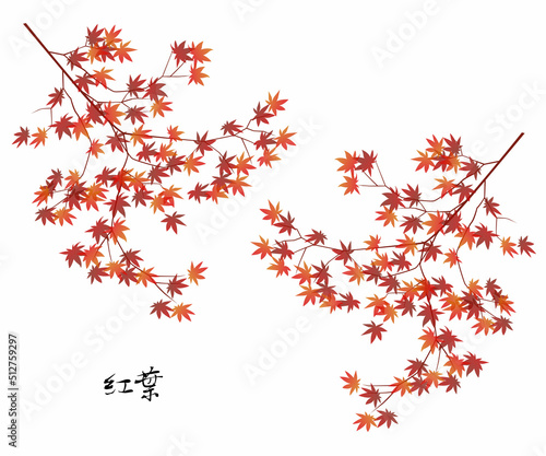 紅葉のイラスト素材 枝 ベクター