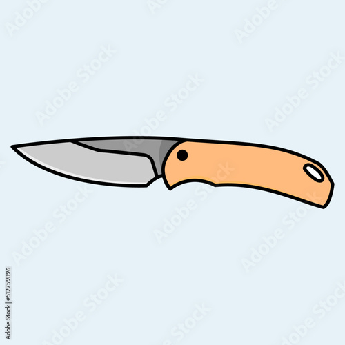 kitchen knife and military knife