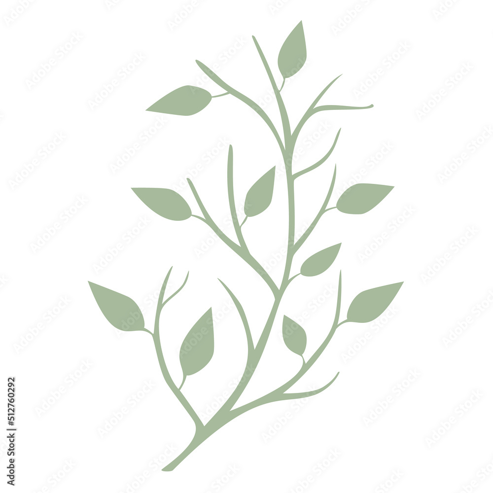 Olive Branch Leaves vector isolated from the background Leaves different shapes in modern flat style