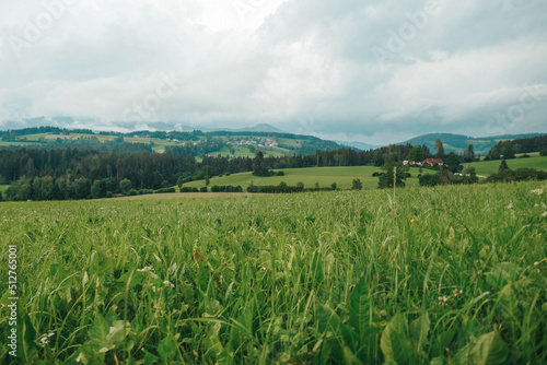 Austria  land of Styria. Beautiful mountain landscape in a mountain village after rain. The beautiful nature of Austria  the road in the mountains.