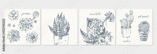 Hand drawn sketch of pot flowers succulent plants, cactus, floral arrangements