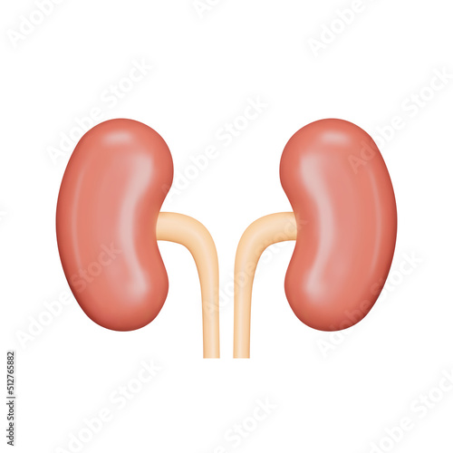 Kidneys 3d icon. A human organ. Isolated object on a transparent background