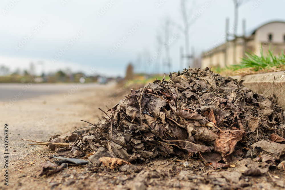 Fototapeta premium Fallen leaves are collected in heaps along the curb of the asphalt road.Spring overcast day.Selective focus.Closeup.