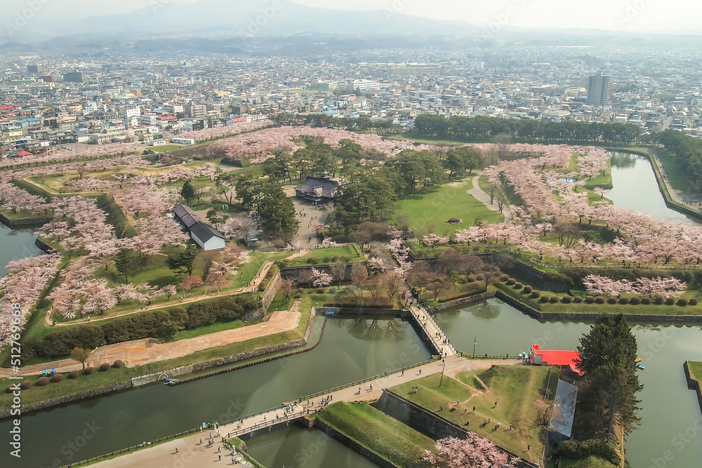 Hakodate,Hokkaido,Japan on April 29,2018:Cherry trees along the moats of Fort Goryokaku as seen from Goryokaku Tower Hakodate,Hokkaido,Japan on April 29,2018:Cherry trees along the moats of Fort Goryokaku as seen from Goryokaku Tower