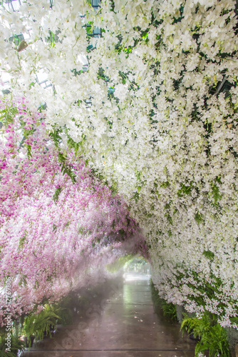 Bang Phae,Ratchaburi province,Thailand on April 13,2019:Beautiful orchid tunnel with fog spray during Songkran Festival at NaSatta Thai Park . photo