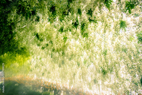 Bang Phae,Ratchaburi province,Thailand on April 13,2019:Beautiful orchid tunnel with fog spray during Songkran Festival at NaSatta Thai Park . photo