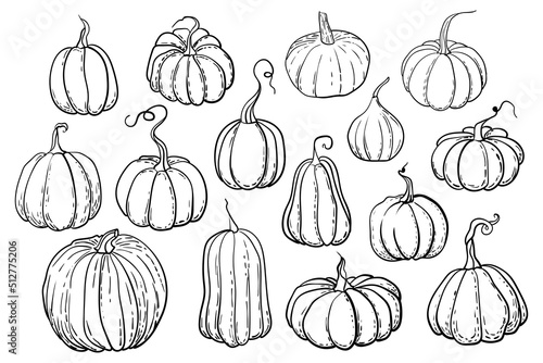 Outline illustrations of pumpkins