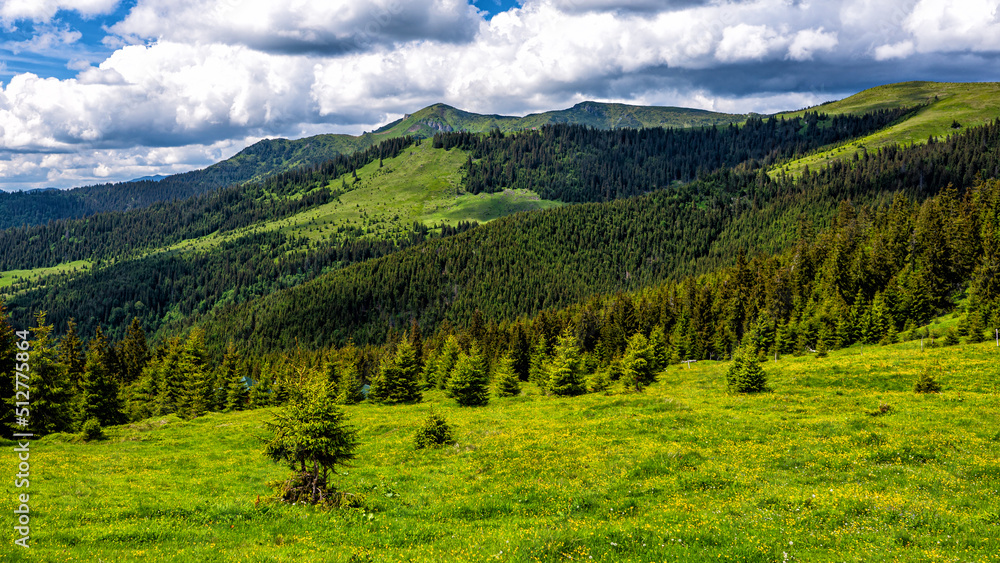 Obraz premium Mt. Cearcanul, Maramures Mountains Natural Park, Carpathians, Romania.