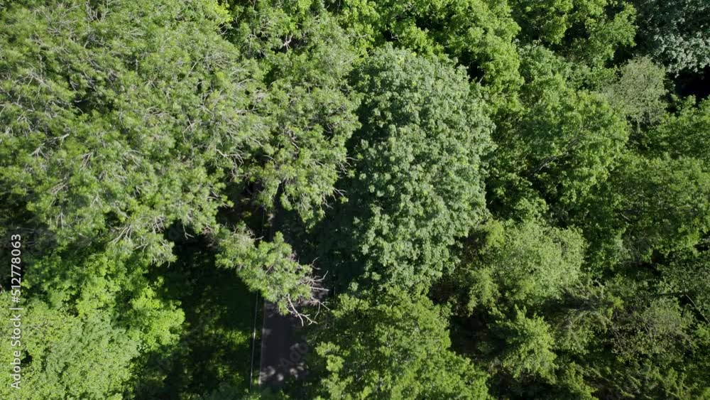 Drone flying over a green forest, revealing a road under the trees. Drone flying over a green forest, revealing a road under the trees.