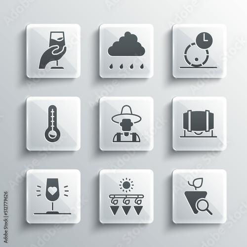 Set Drying grapes, Grapes, Wooden barrel for wine, Farmer the hat, Wine glass, Meteorology thermometer, tasting, degustation and icon. Vector