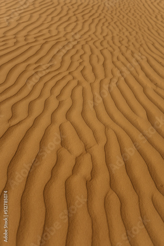 sand dune in the desert, dubai