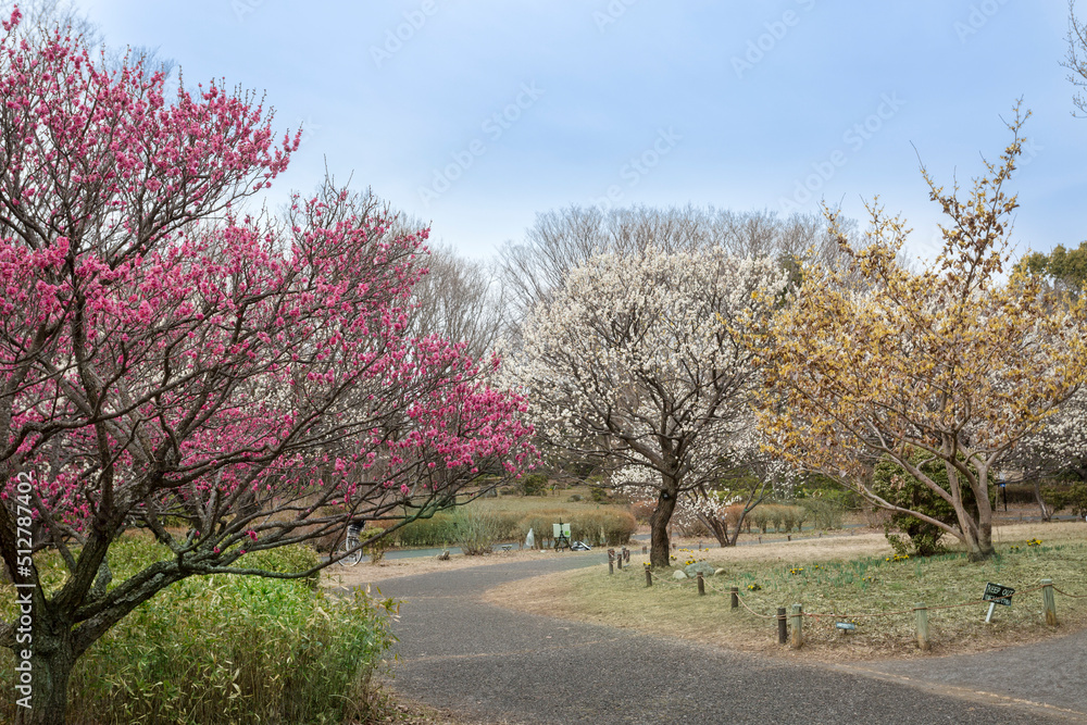 昭和記念公園（東京都立川市）