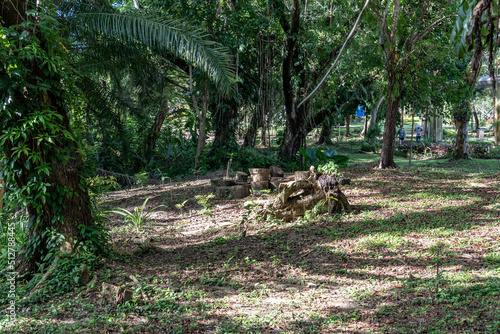 Labuan Botanical Garden, Malaysia photo