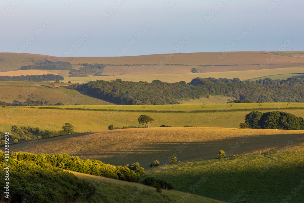 Looking out over a rolling South Downs landscape on a summers evening